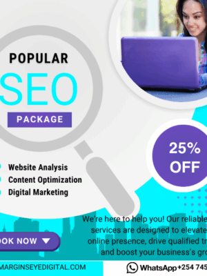 the popular seo package and what it offers