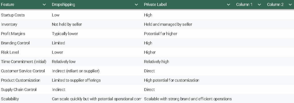 table showing features of Dropshipping or Private Label
