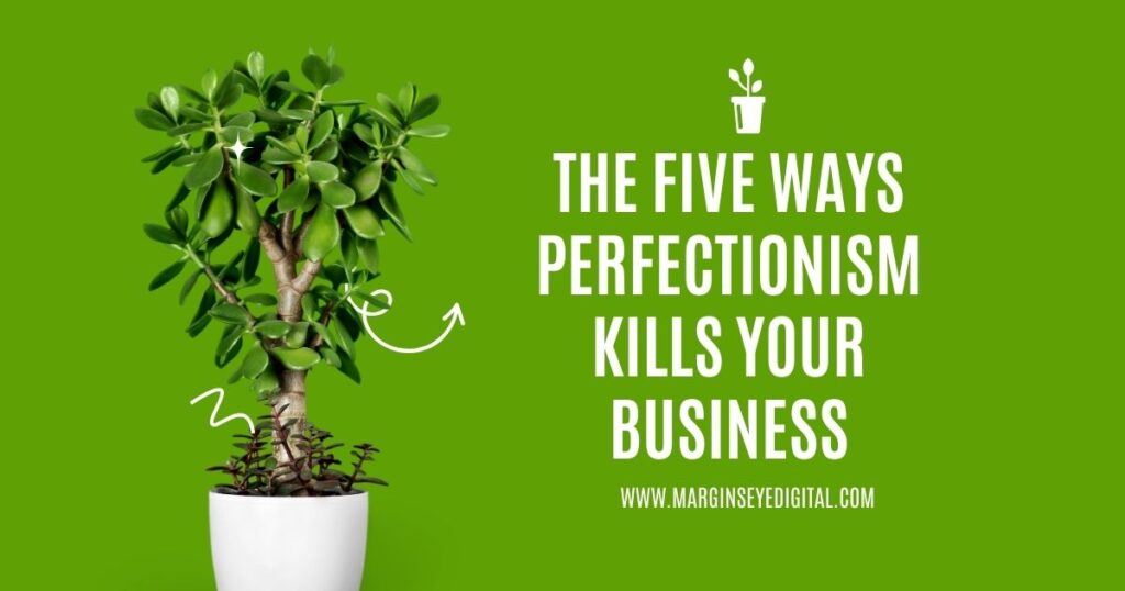 a potted plant and text showing THE FIVE WAYS PERFECTIONISM KILLS YOUR BUSINESS indicated by the plant which is healthy but could otherwise not be